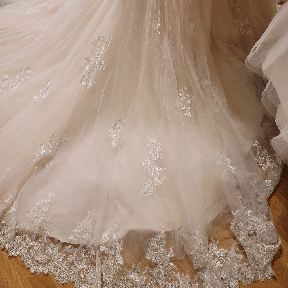 Wedding Dress Size 14 Pink Champagne - Picture 12 of 16